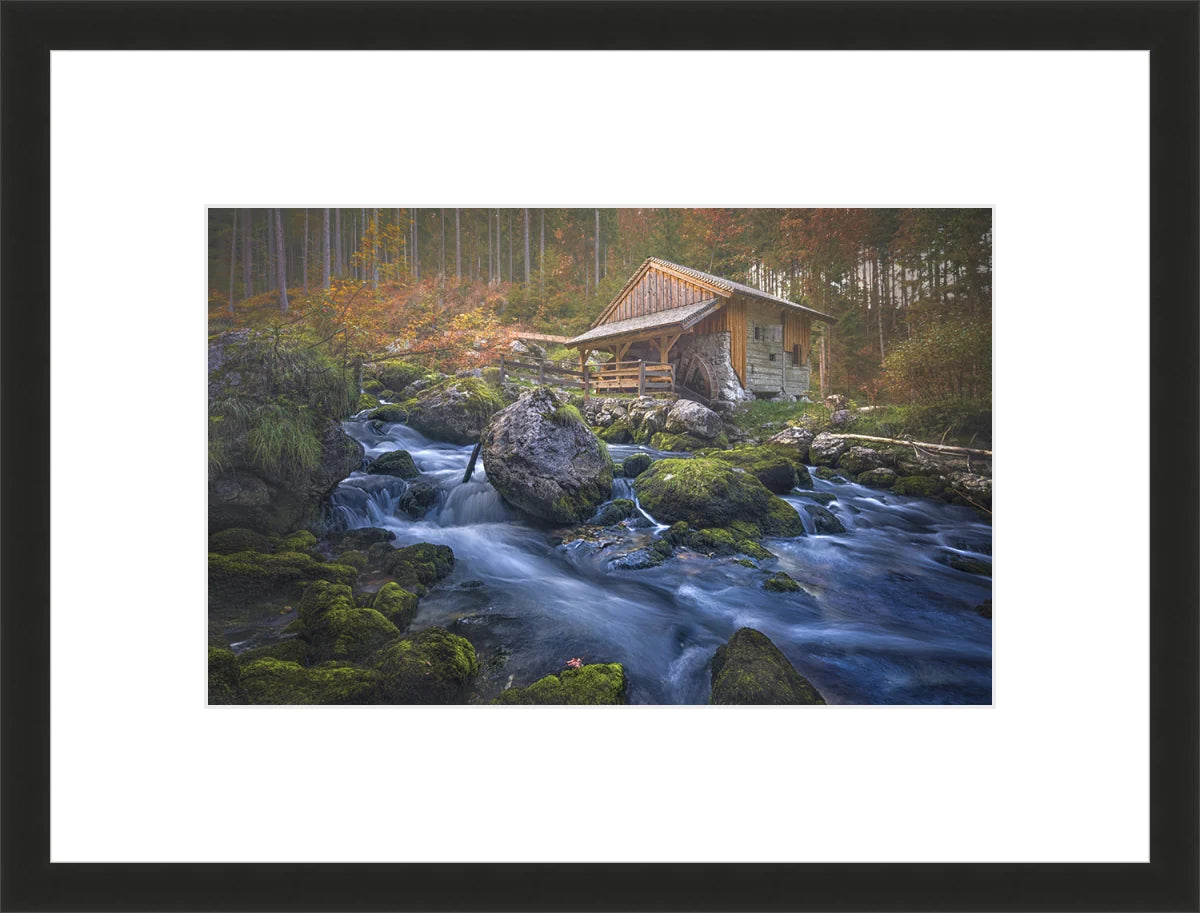 Deserted Mill House by creek