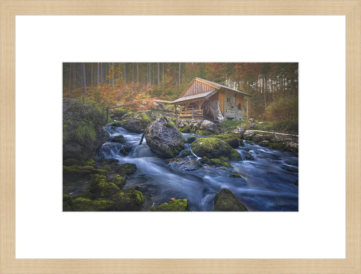Deserted Mill House by creek