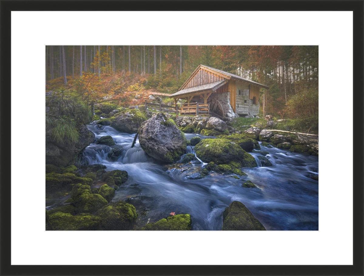 Deserted Mill House by creek