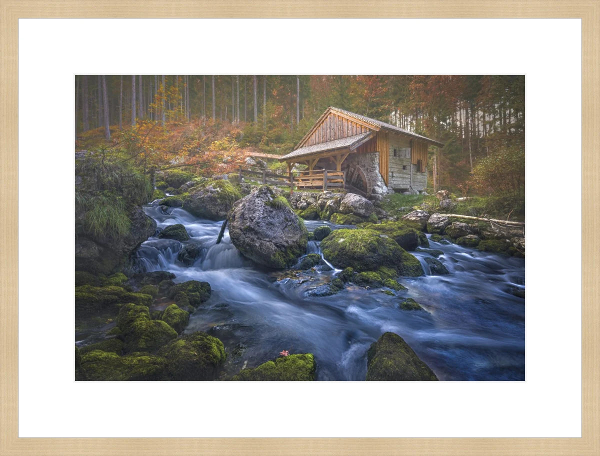 Deserted Mill House by creek