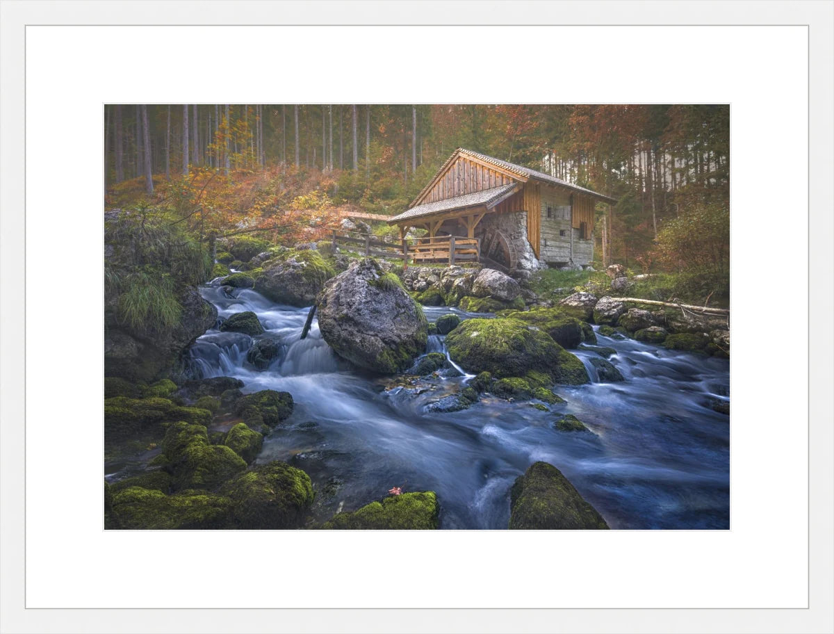 Deserted Mill House by creek