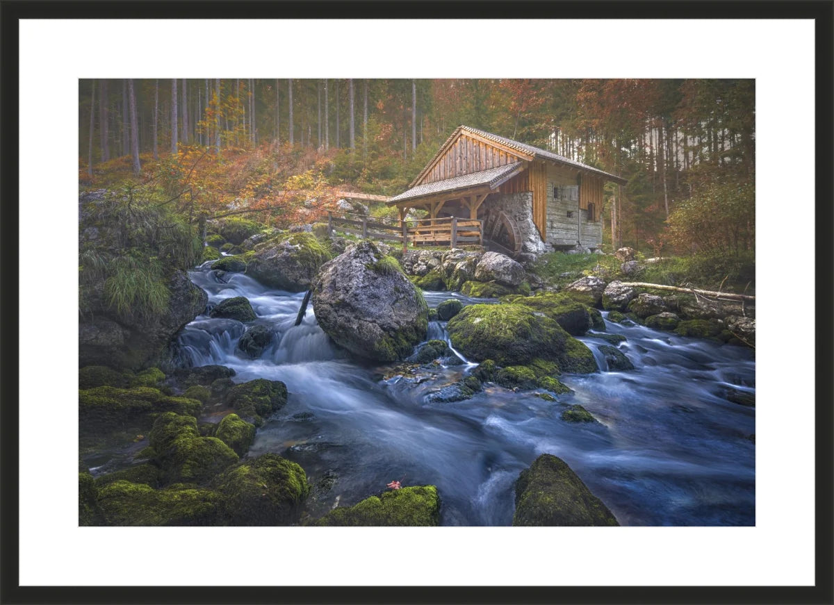 Deserted Mill House by creek