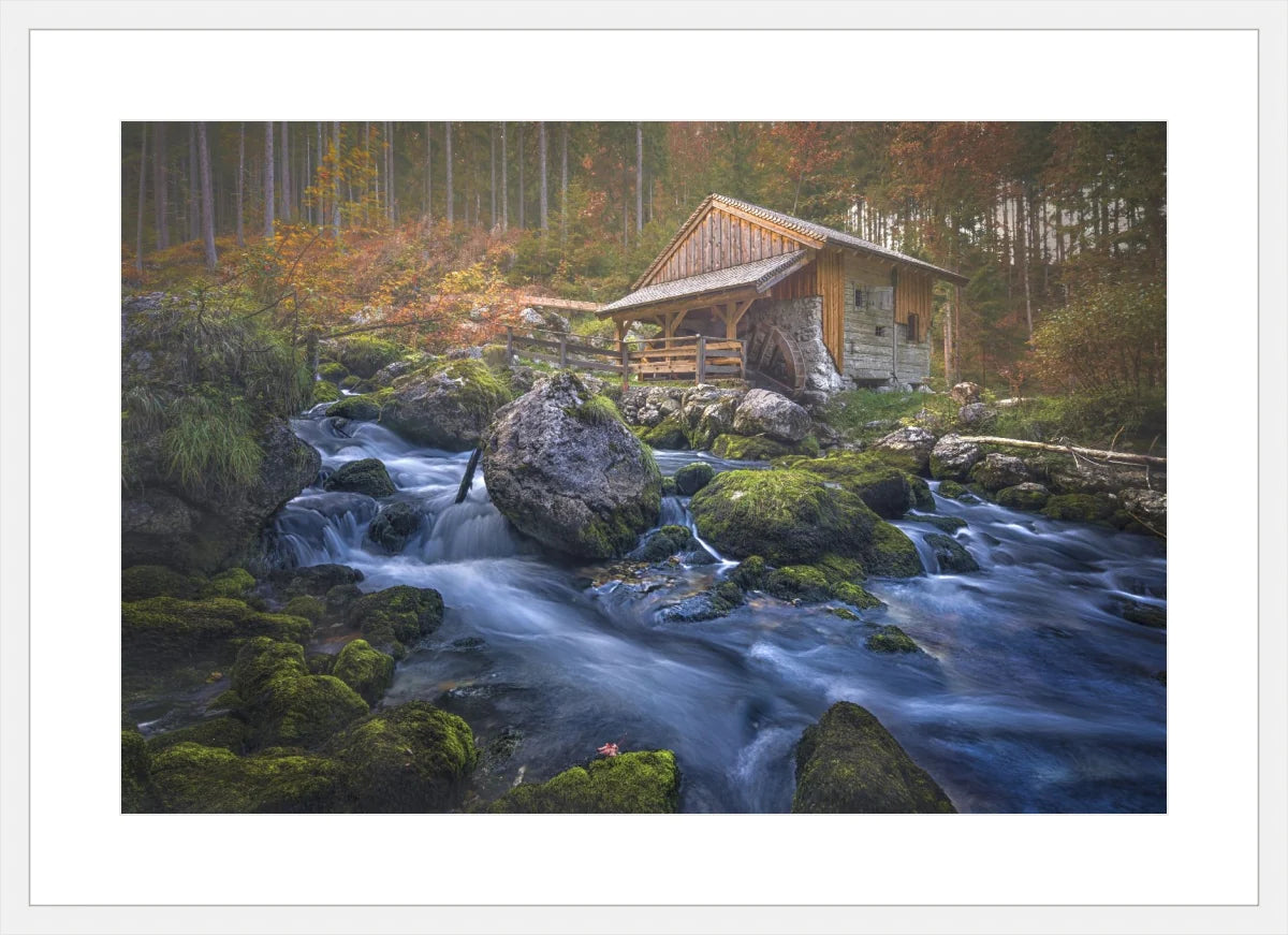 Deserted Mill House by creek