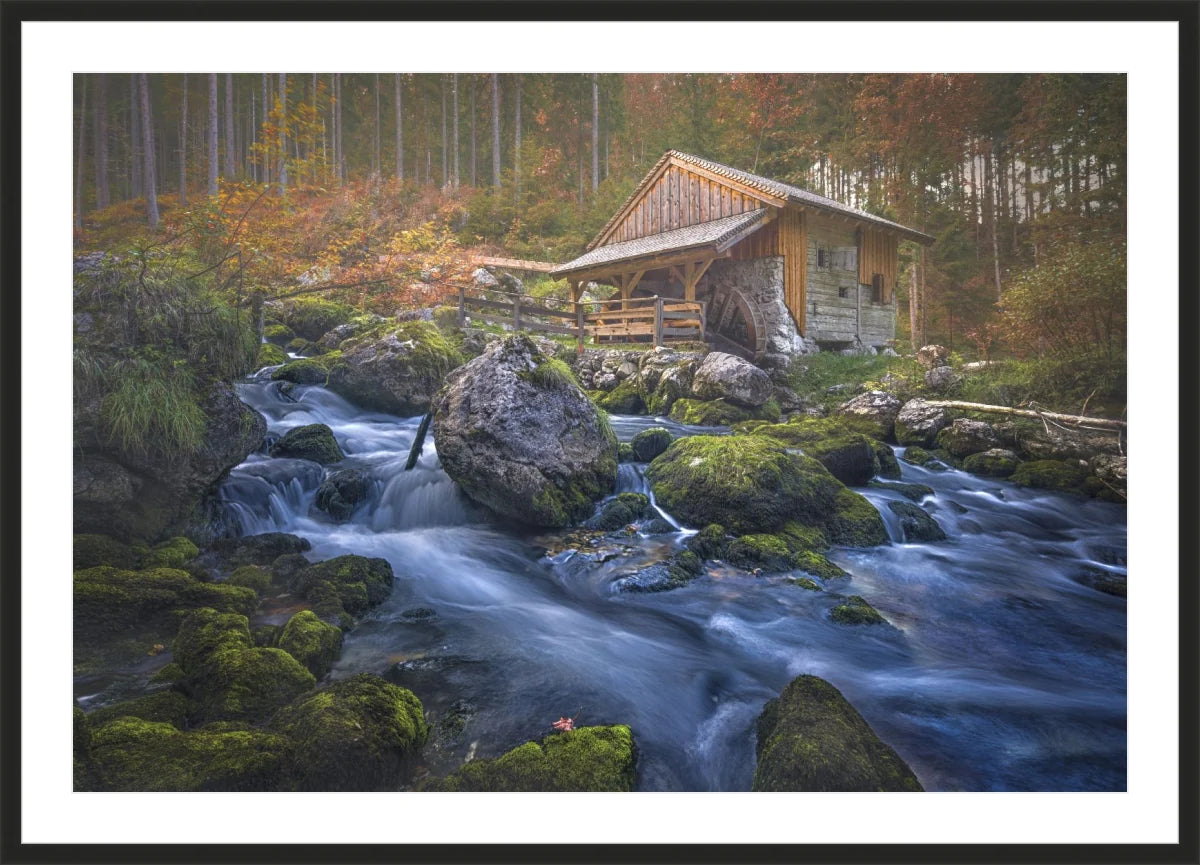 Deserted Mill House by creek