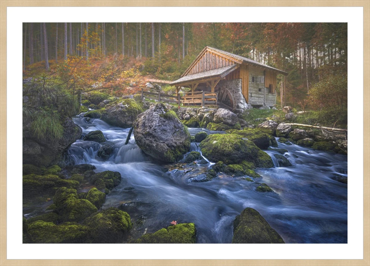 Deserted Mill House by creek