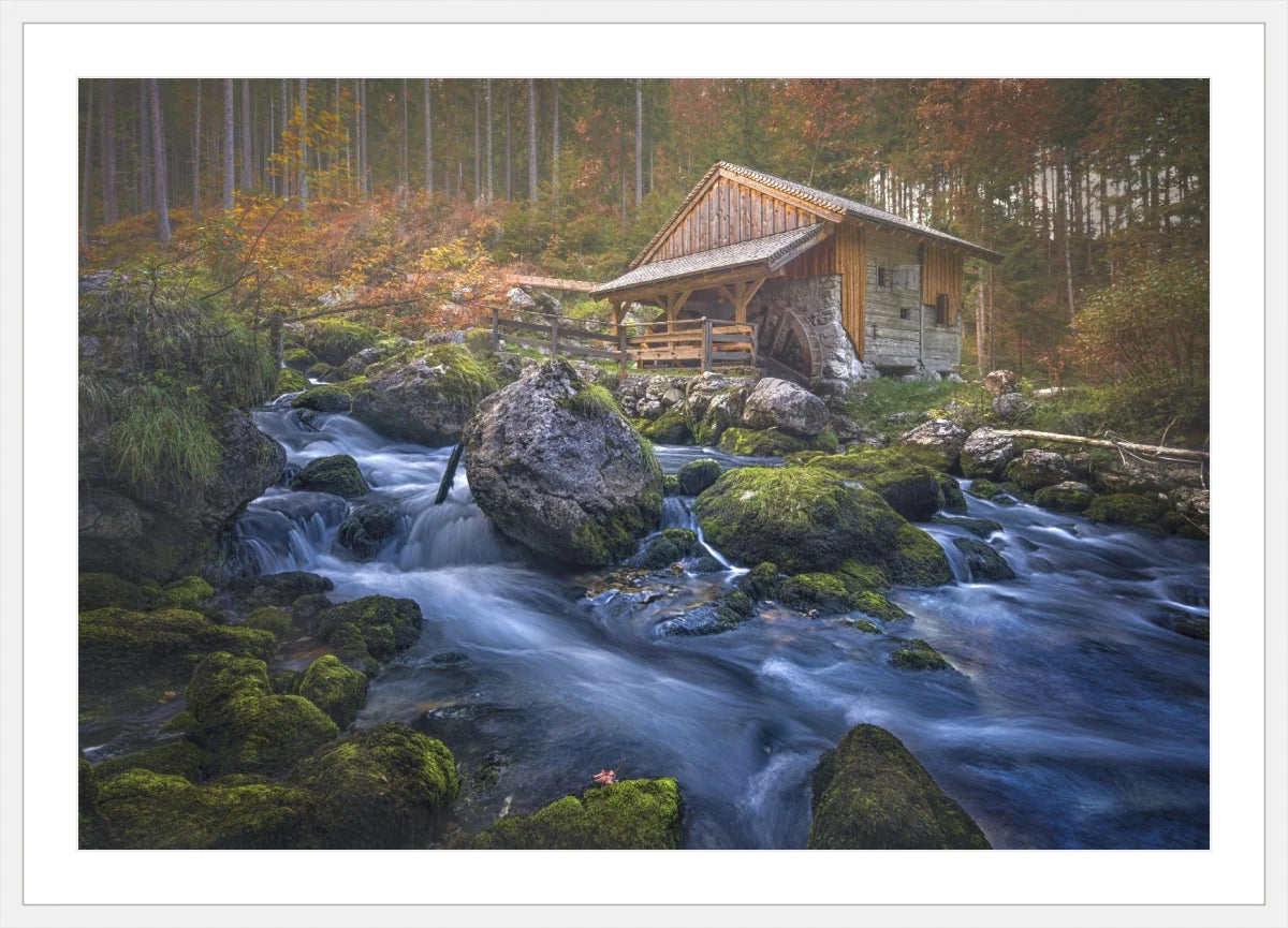 Deserted Mill House by creek
