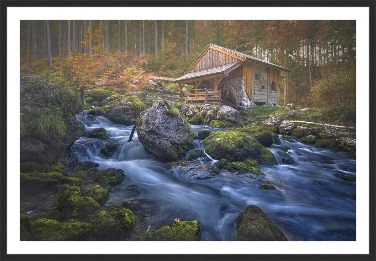 Deserted Mill House by creek