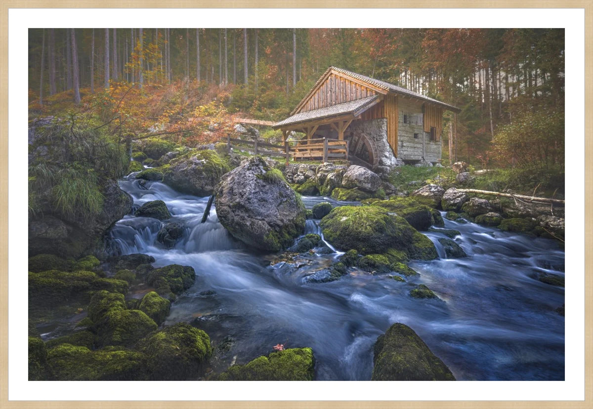 Deserted Mill House by creek