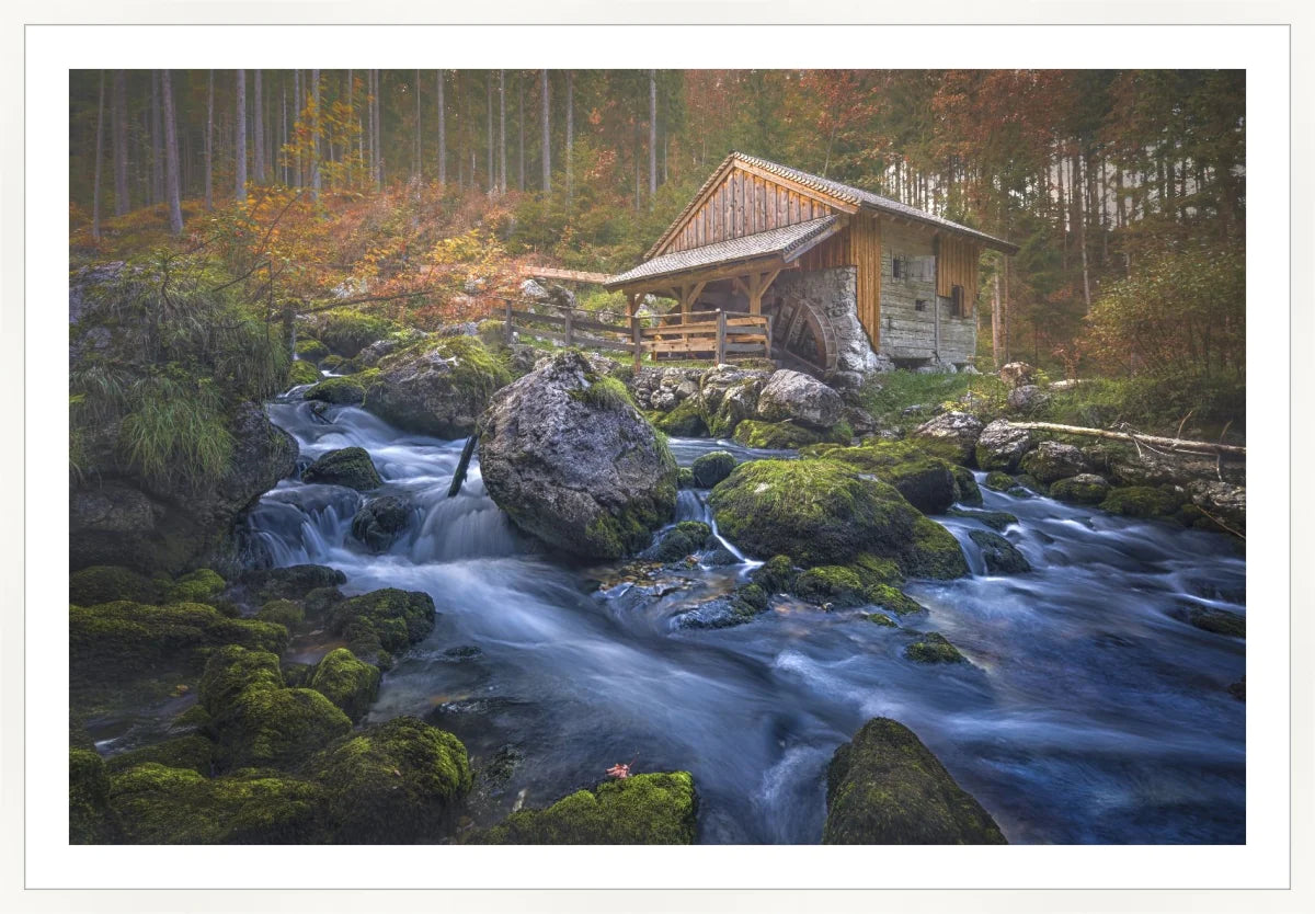 Deserted Mill House by creek