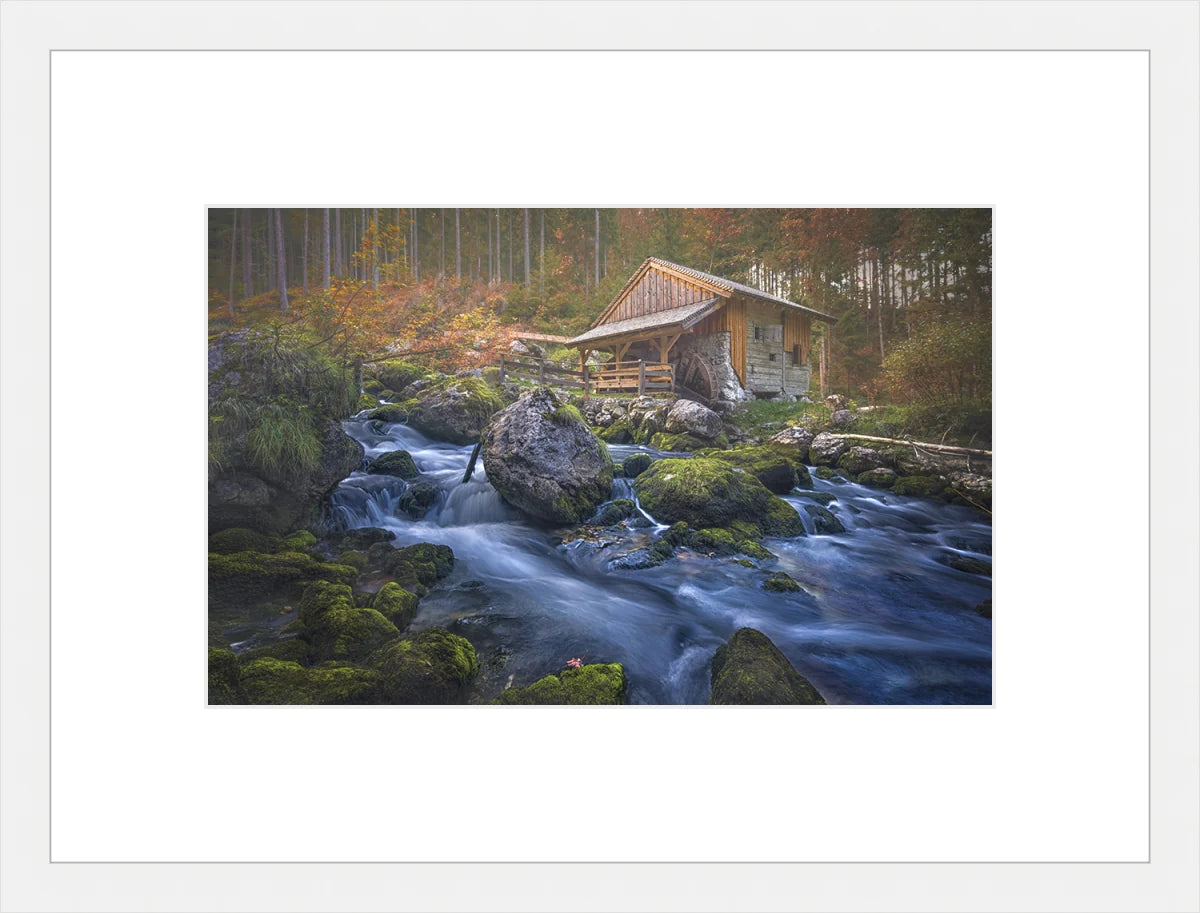 Deserted Mill House by creek