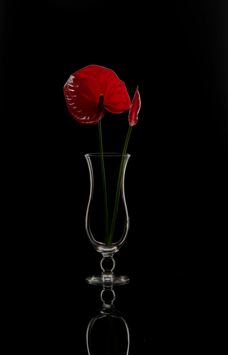 Anthurium