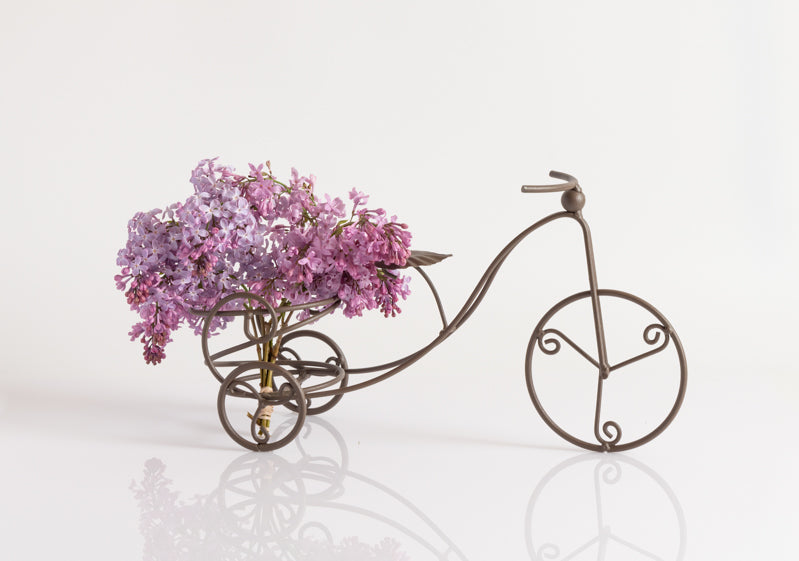 Bike with Flowers 2