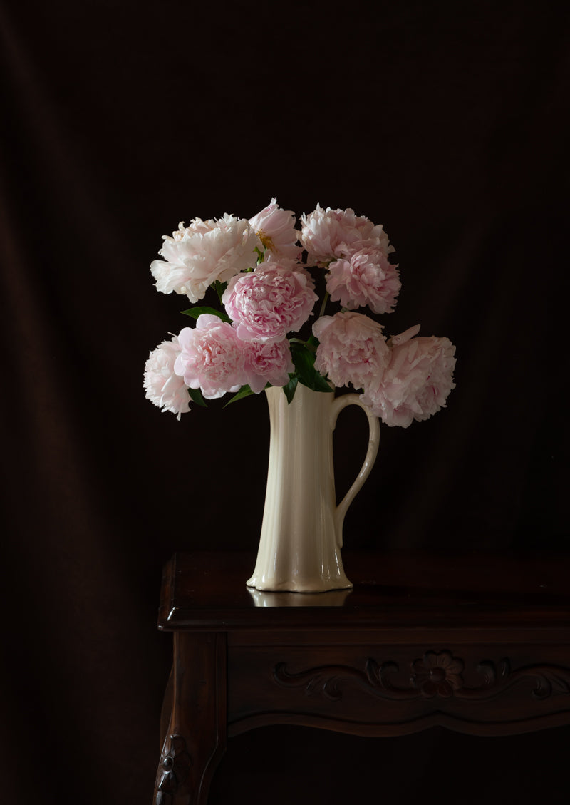 Peony,Still Life 2