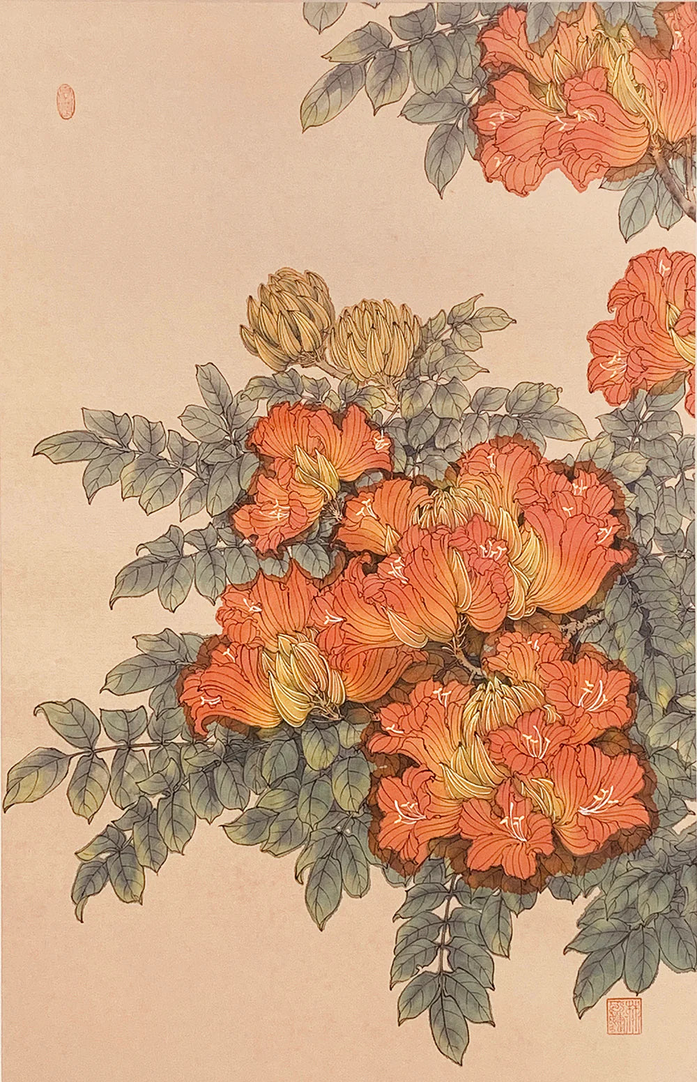 Flame Flower 火焰花