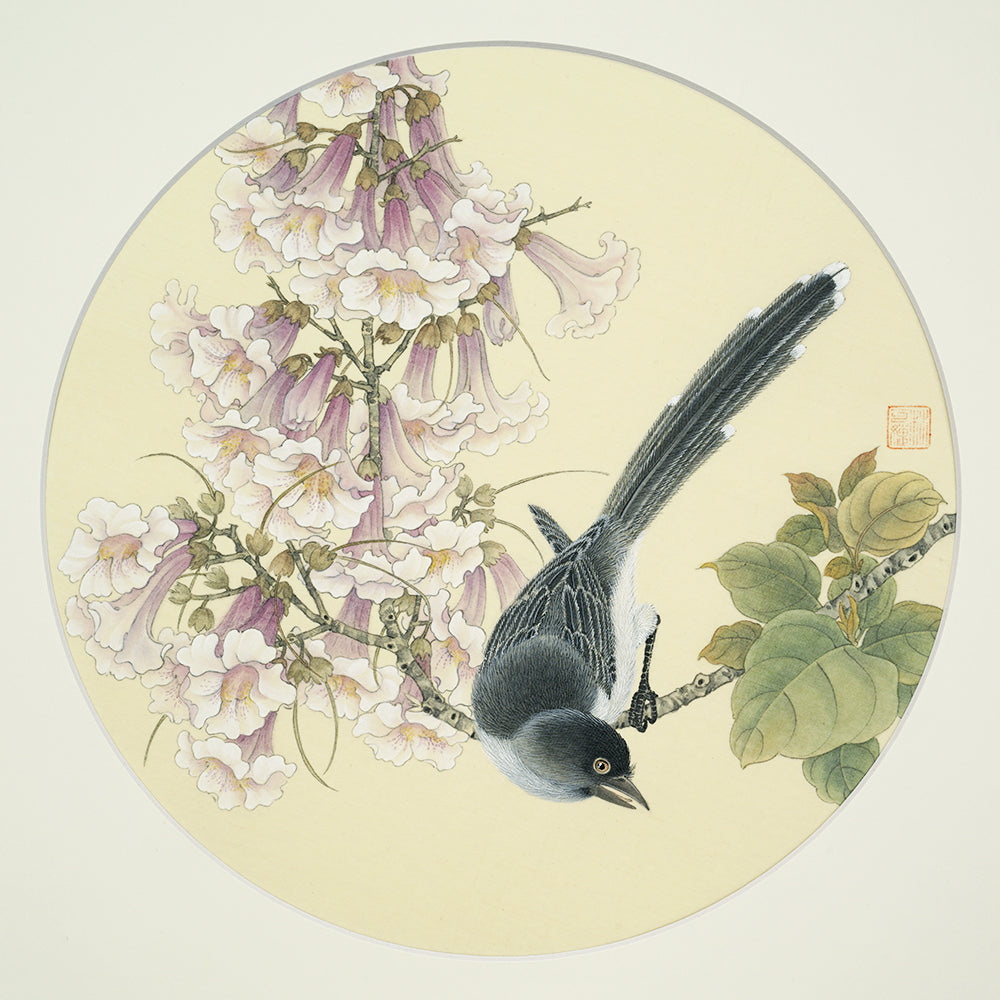 工笔绢本小品-5 (Paulownia flower with Magpie 桐喜图)