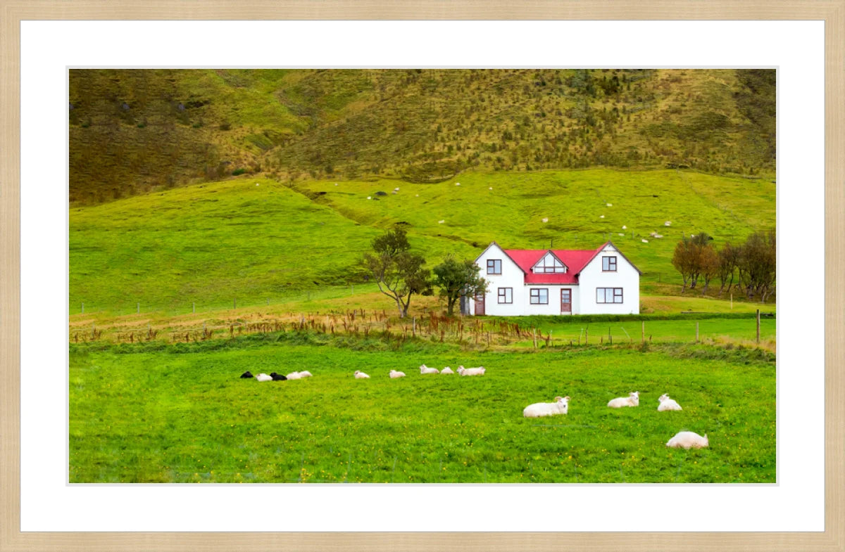 Hillside in Norway