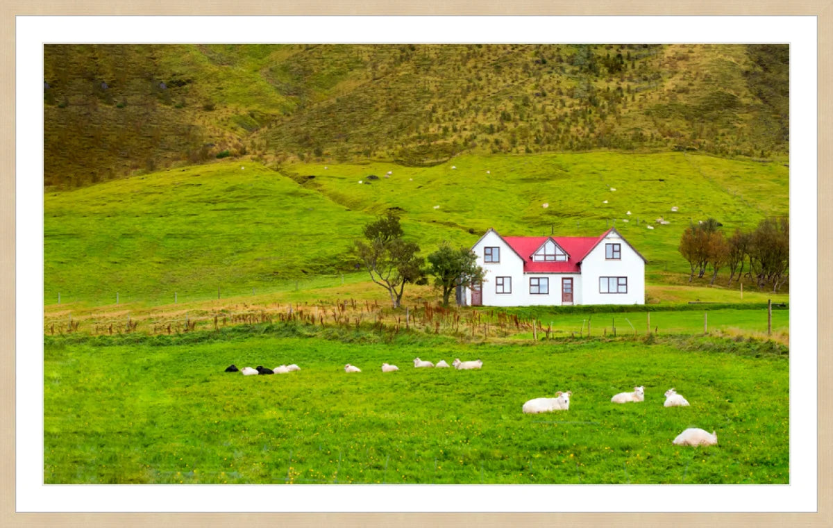 Hillside in Norway