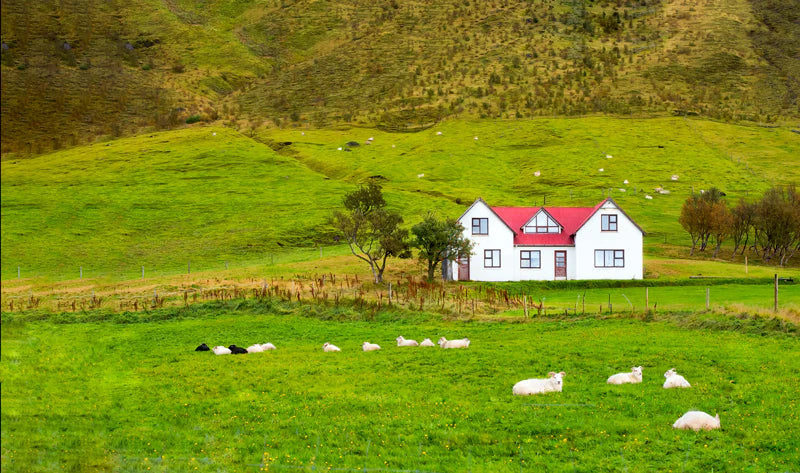 Hillside in Norway