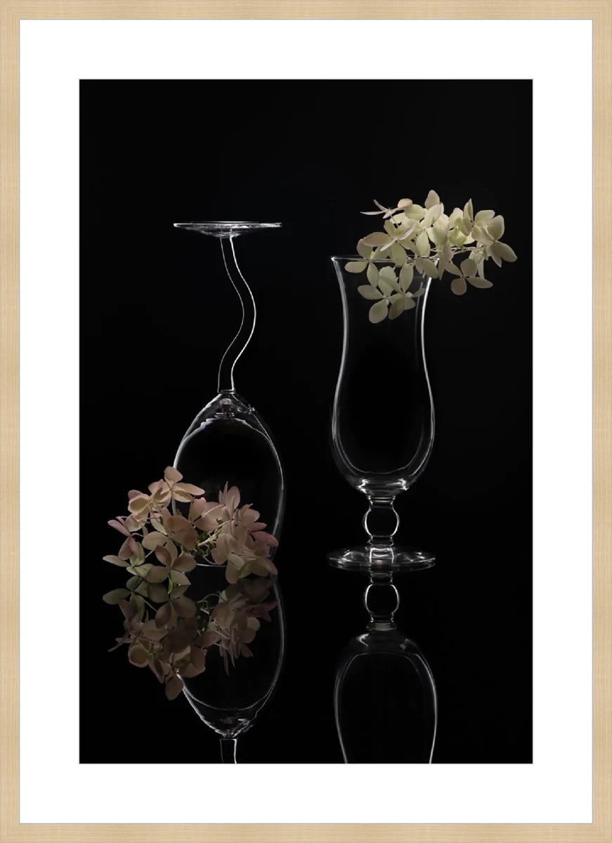 Hydrangea