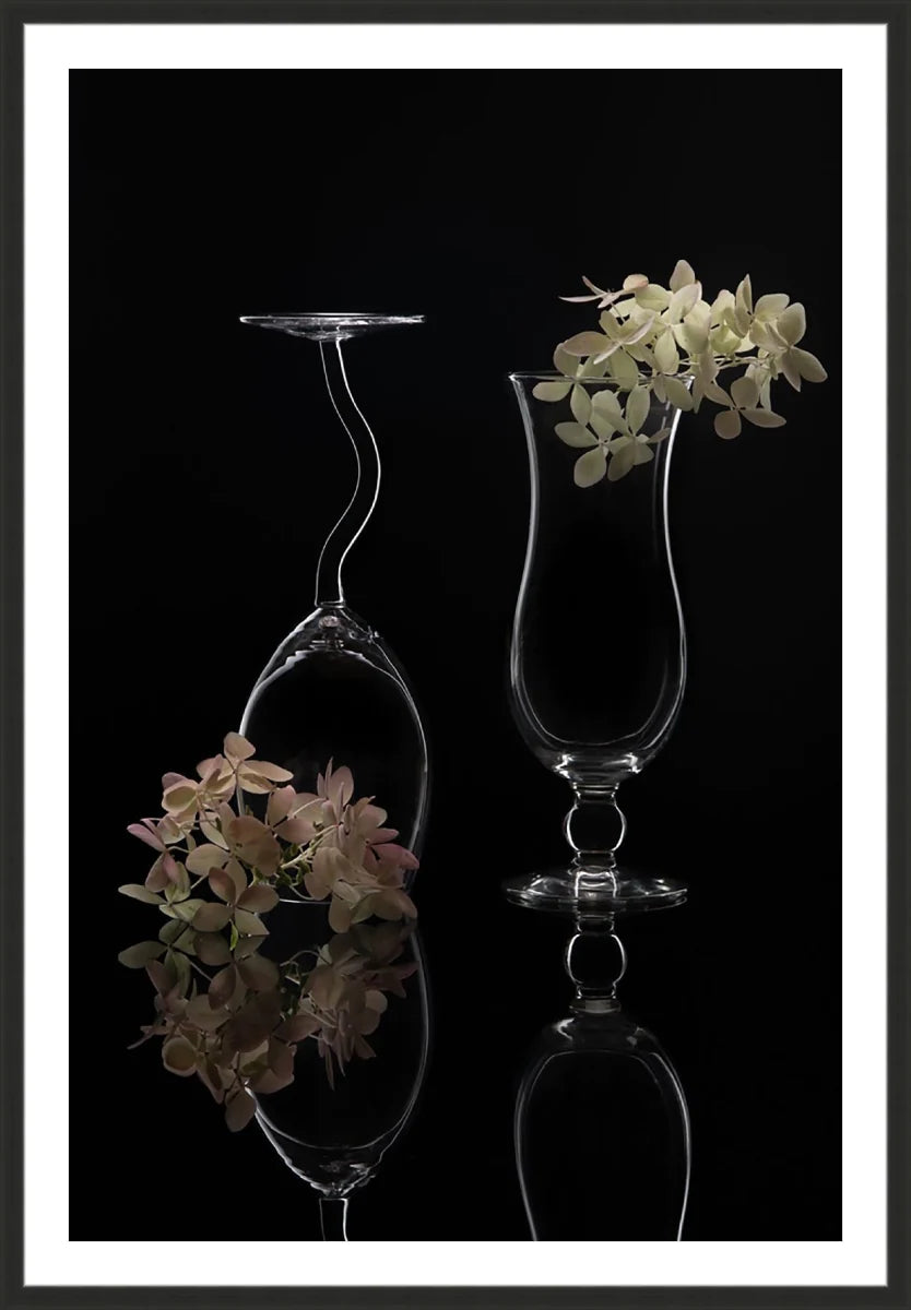 Hydrangea