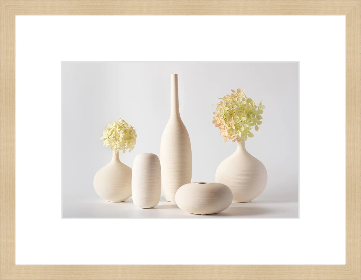 Hydrangea in Vase