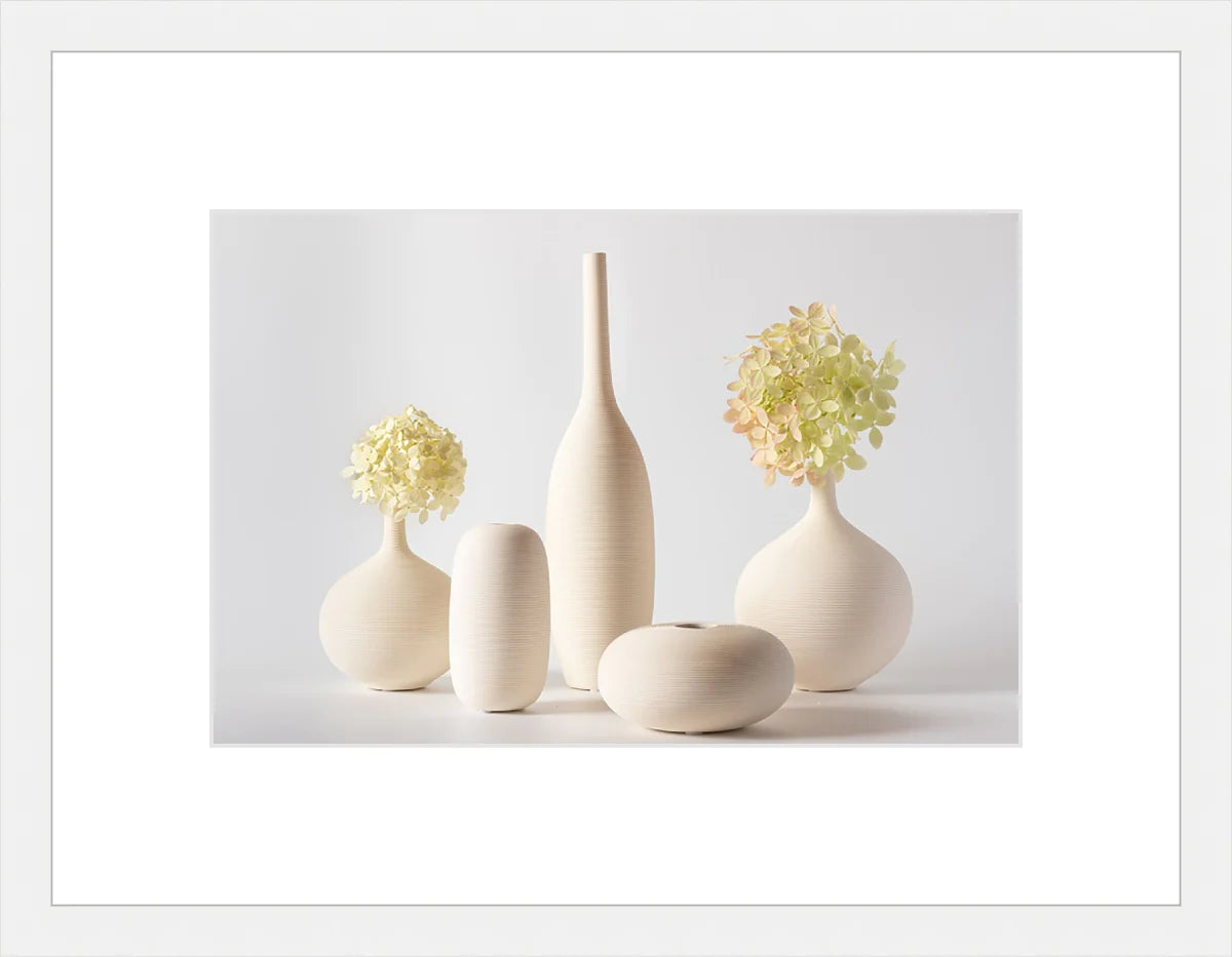Hydrangea in Vase