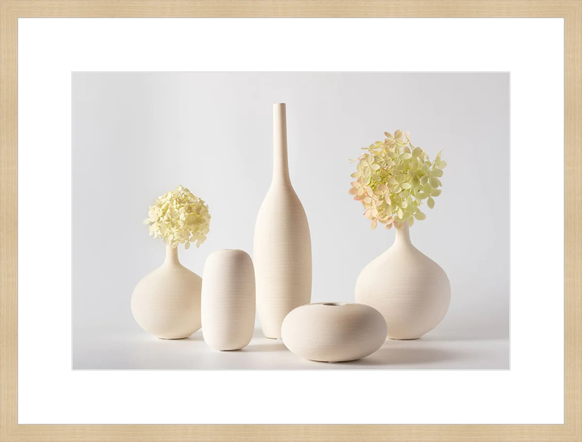Hydrangea in Vase