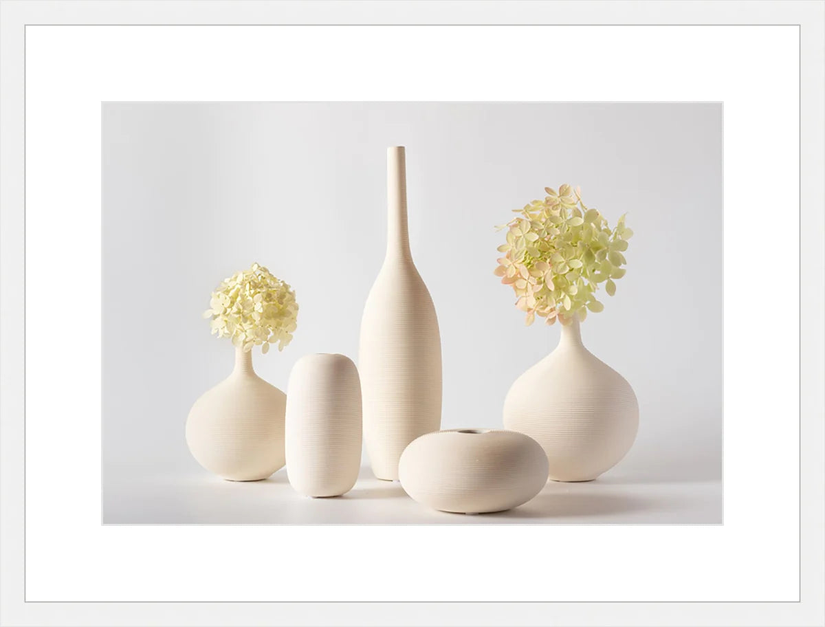 Hydrangea in Vase