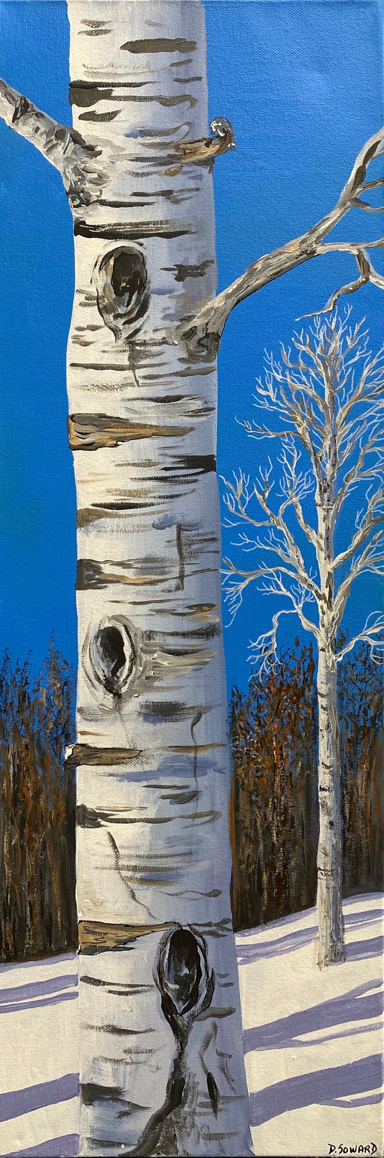 Winter Birch