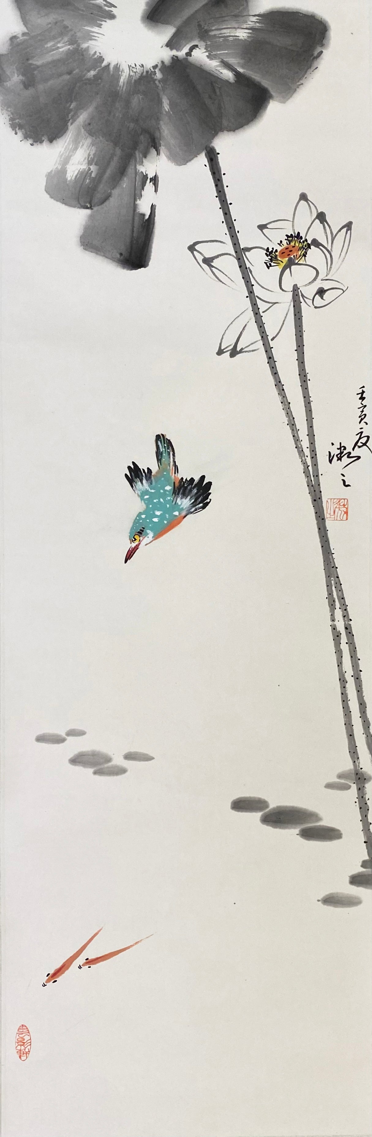 荷花翠鸟
