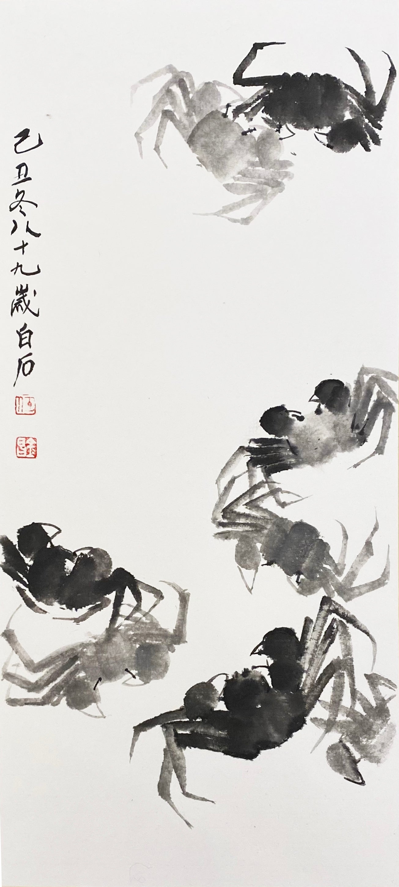 白石款(长立)一