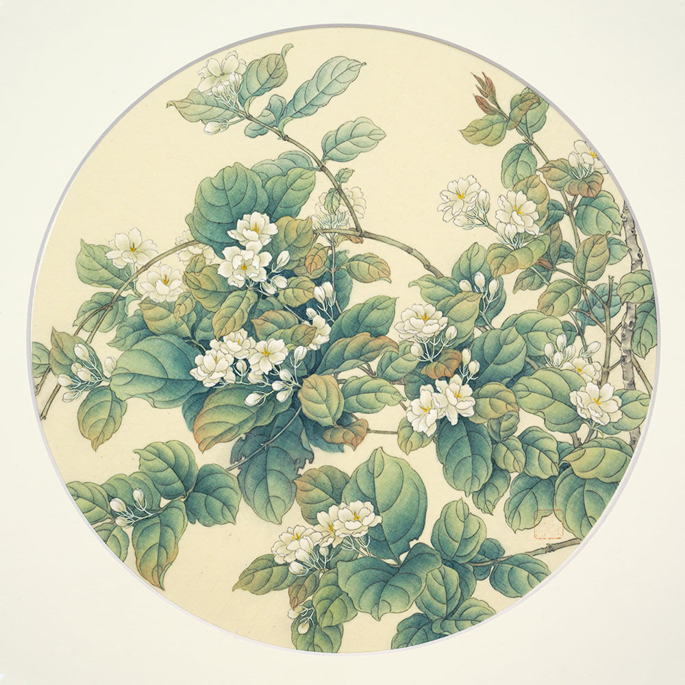 工笔绢本小品-1(Jasmine 茉莉花)