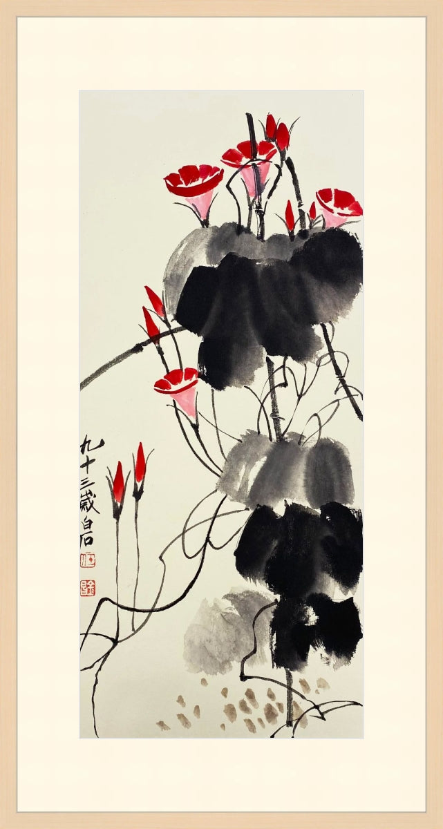白石款(长立)二