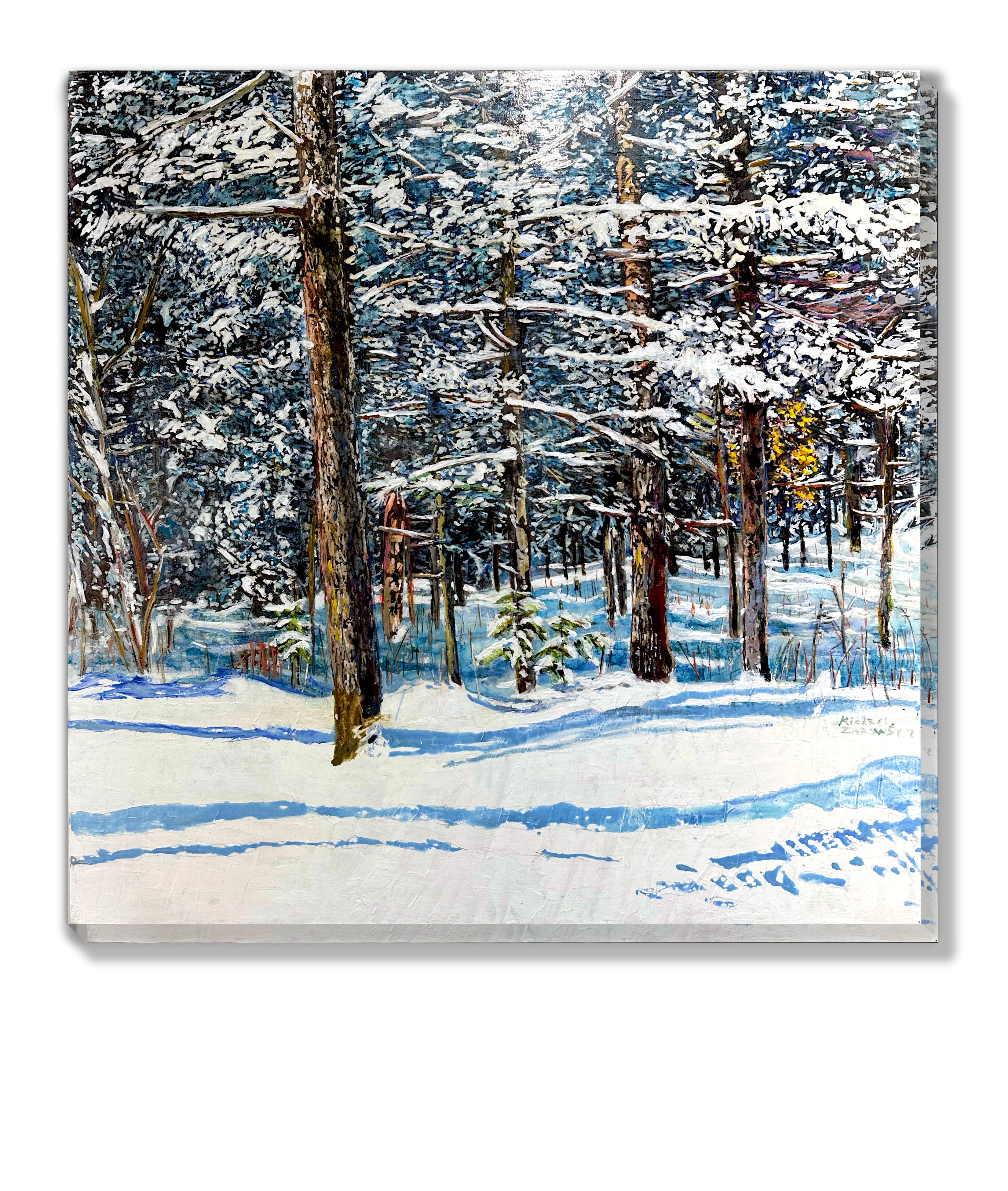 Overnight Snowfall