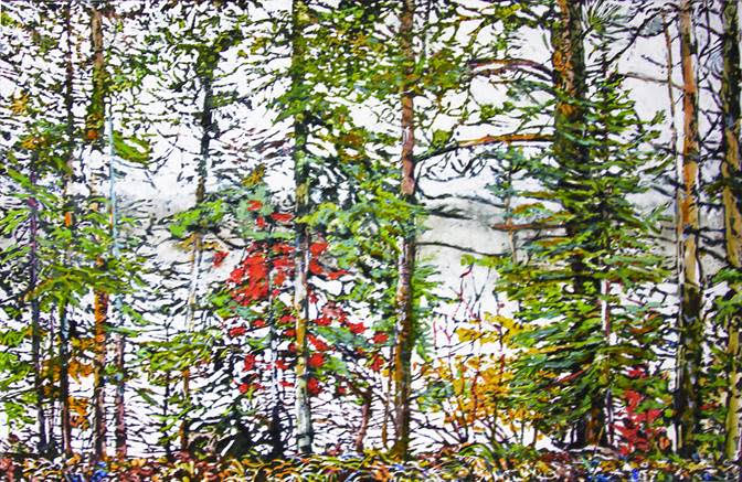 Northern Lake