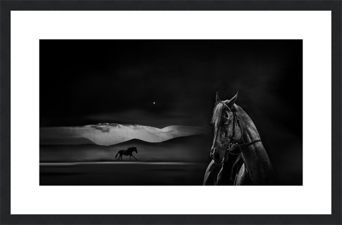 Silent Grace Endless Journey