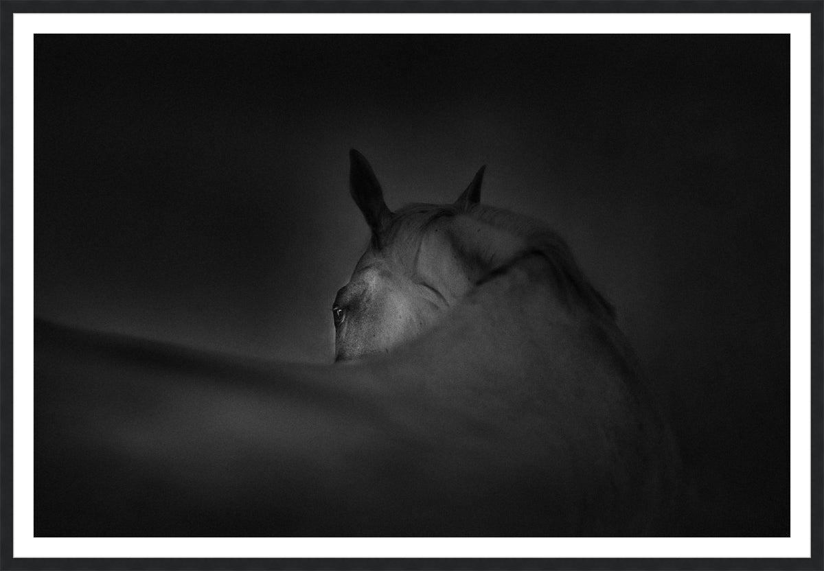 Shadow Grace