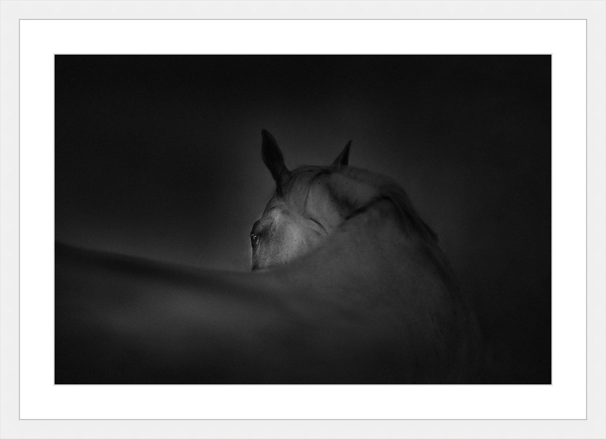 Shadow Grace
