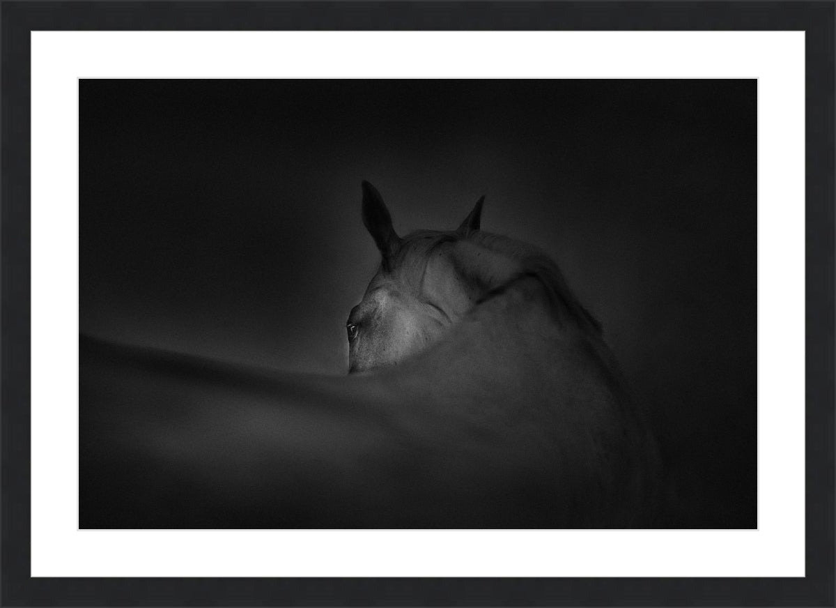 Shadow Grace