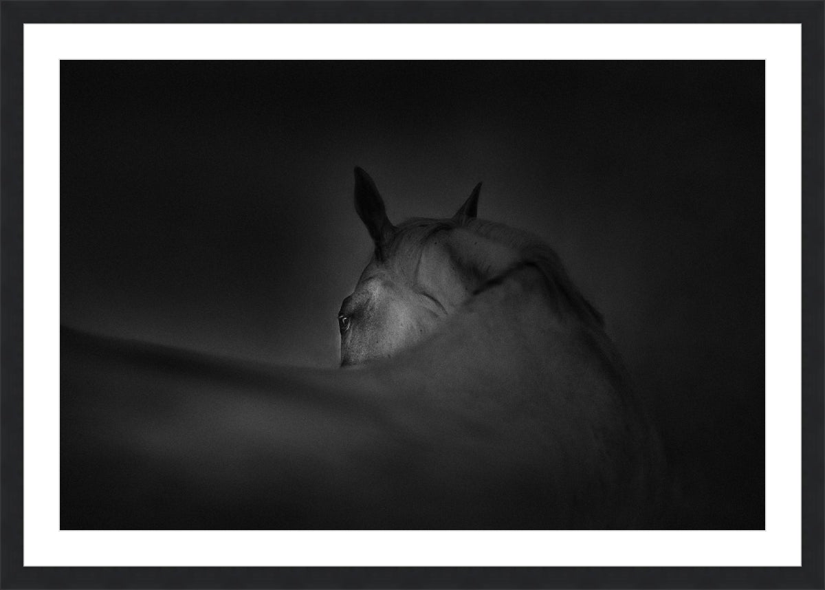 Shadow Grace
