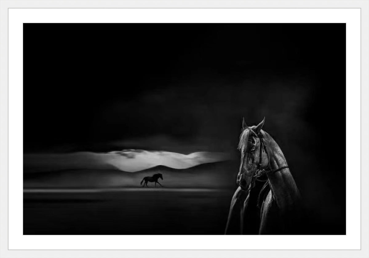 Silent Grace Endless Journey