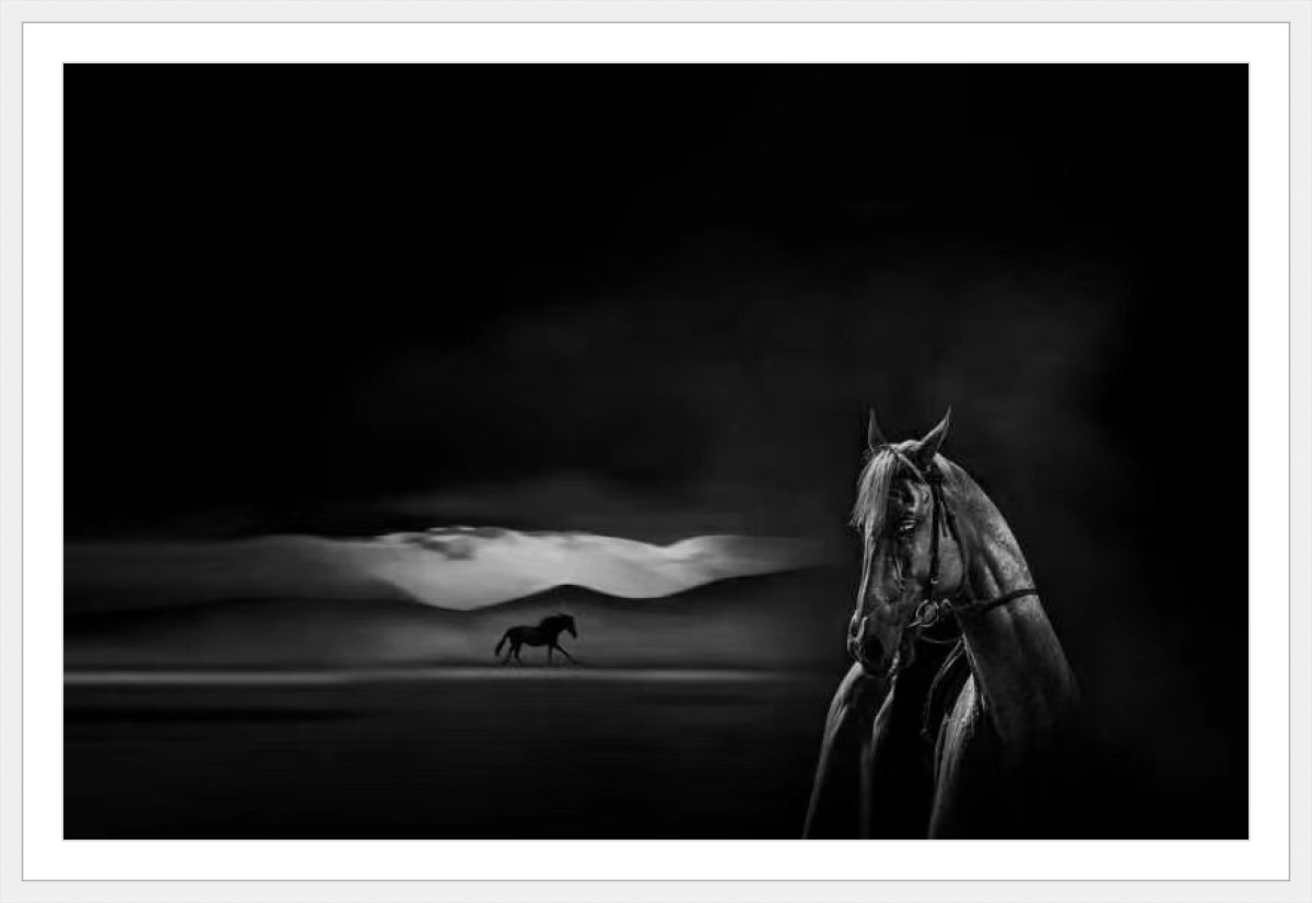 Silent Grace Endless Journey