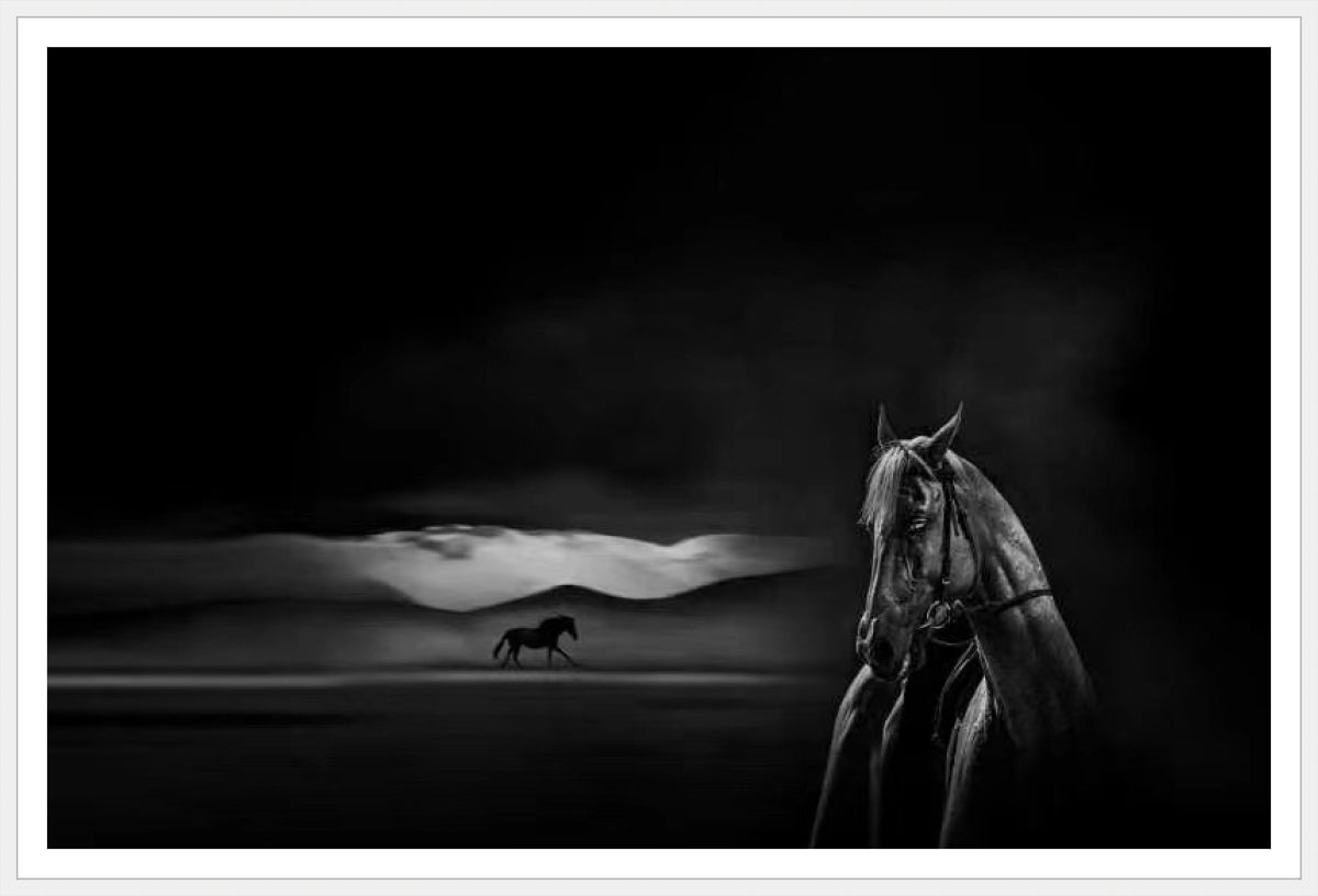 Silent Grace Endless Journey
