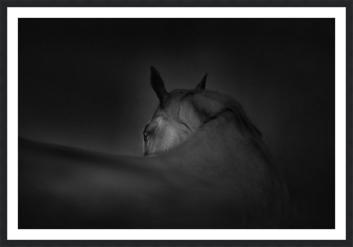 Shadow Grace