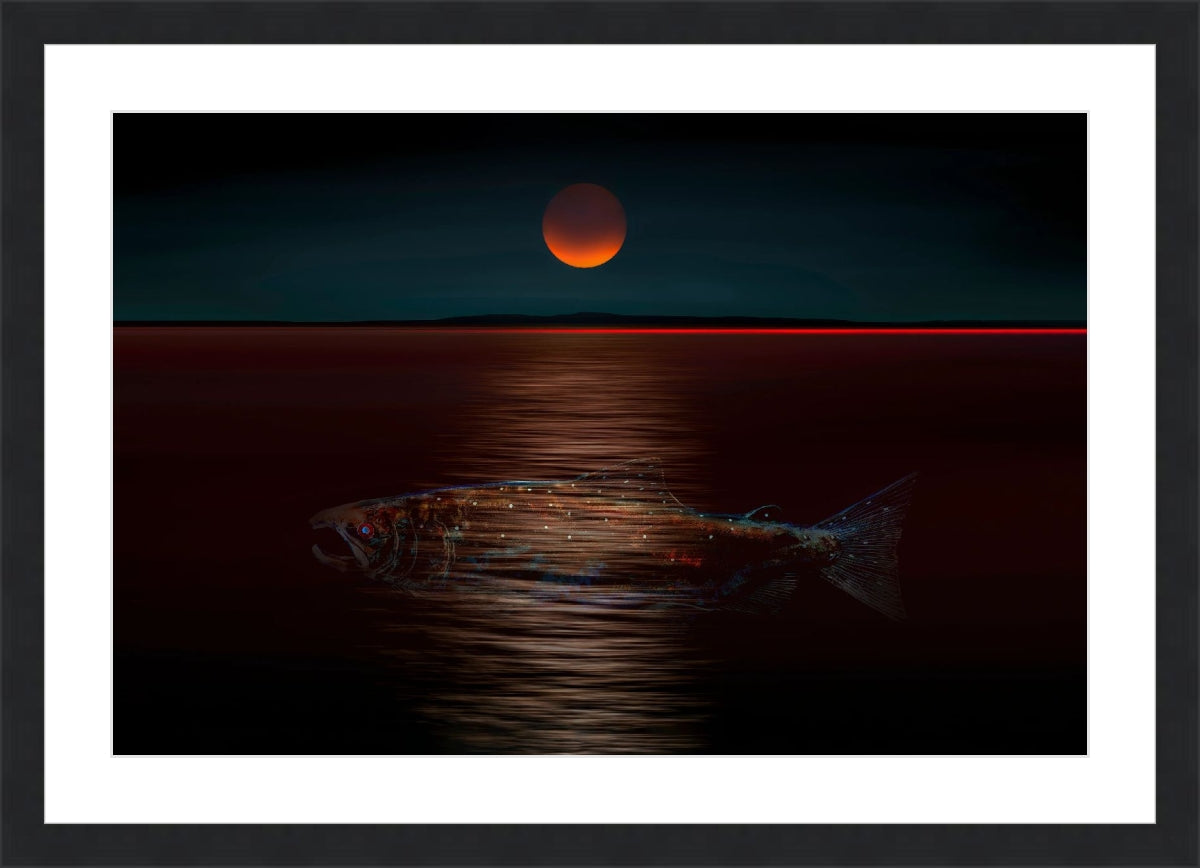 The moon rises in the sea