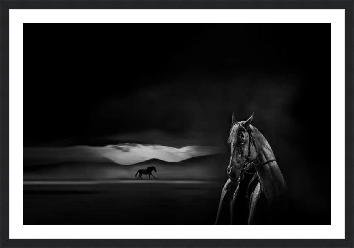 Silent Grace Endless Journey