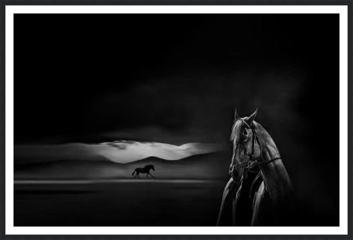 Silent Grace Endless Journey