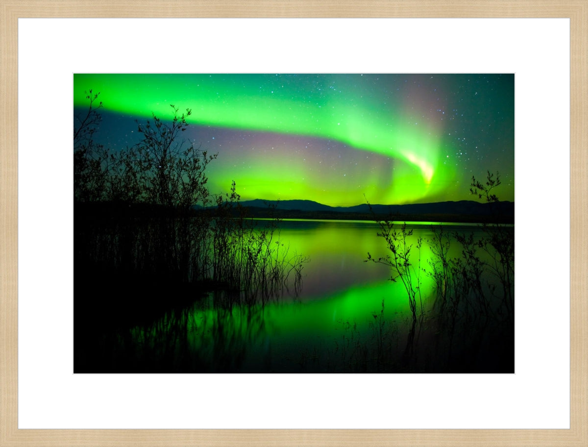 Northern Lights Dancing in Sky