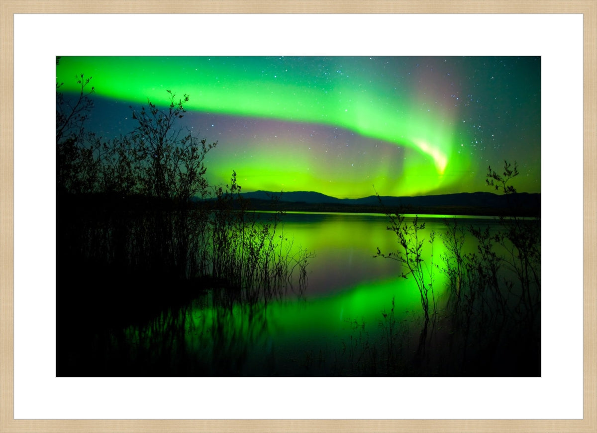 Northern Lights Dancing in Sky