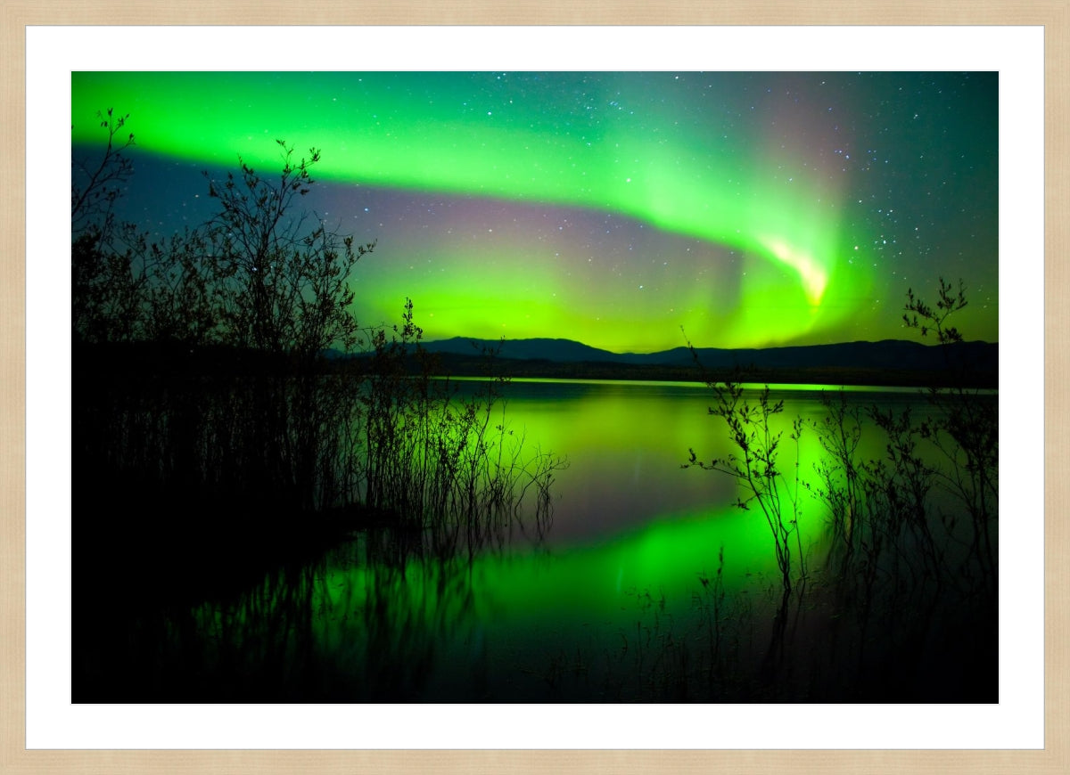 Northern Lights Dancing in Sky